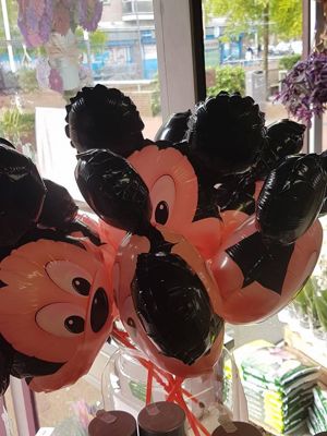 Foto 299 uit NeelyshaBloemen