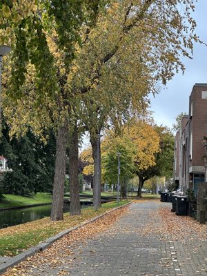 Foto 35 uit X-Herfst Verschillende jaren  2026