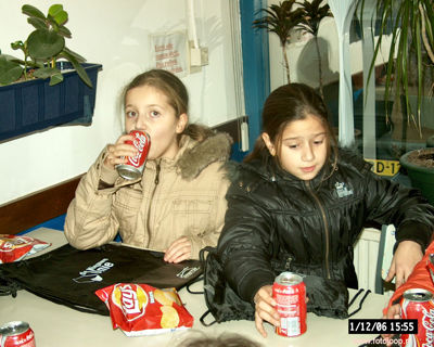 Foto 161 uit bloembollen planten