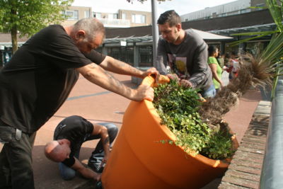 Foto 8 uit Grote-Bloem-Potten