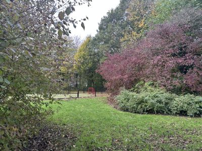 Foto 40 uit X-Herfst Verschillende jaren  2026