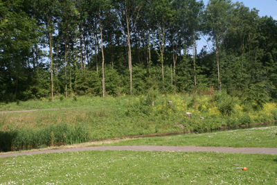 Foto 460 uit StratenBEVERWAARD