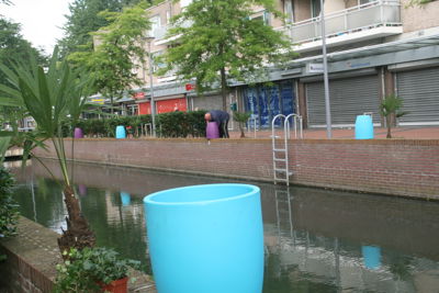 Foto 41 uit HippePlantenBakken