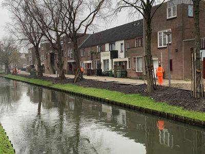 Foto 6 uit Rhijnauwensingel