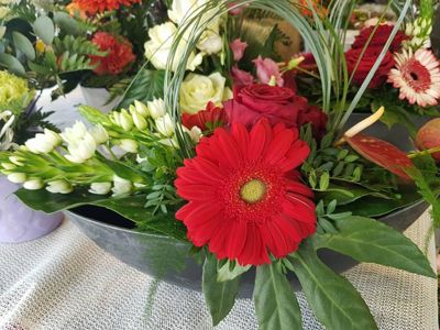 Foto 234 uit NeelyshaBloemen