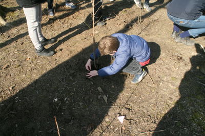 Foto 75 uit Boomplantdag16-3