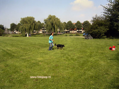 Foto 73 uit wijkparkfeest 2005