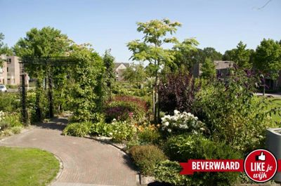 Foto 2 uit LIKEJEWIJK-2016