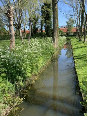 Foto 15 uit Lente En Zomer 2022