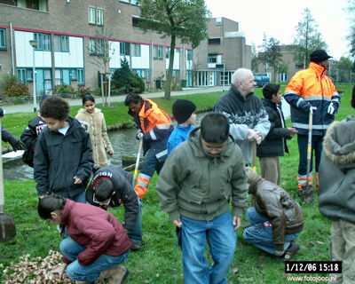 Foto 105 uit bloembollen planten