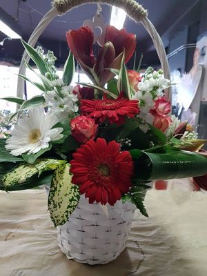 Foto 261 uit NeelyshaBloemen