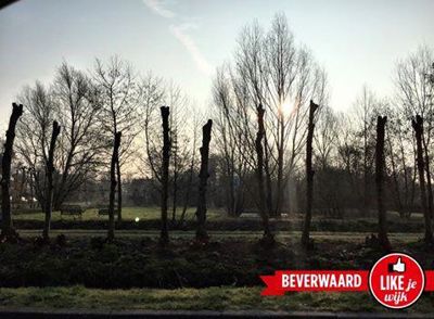 Foto 25 uit StratenBEVERWAARD