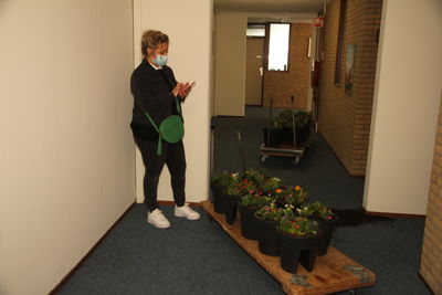 Foto 27 uit Plantjes Ijselburgh