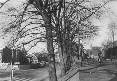 Foto 170 uit SloopEnOpbouwWIJK