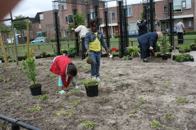 Foto 24 uit Tropische Buurttuin