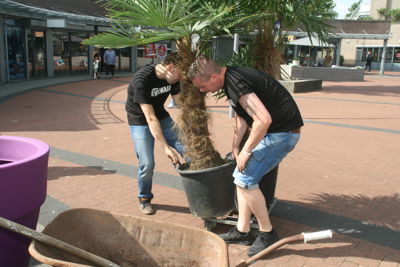 Foto 83 uit HippePlantenBakken