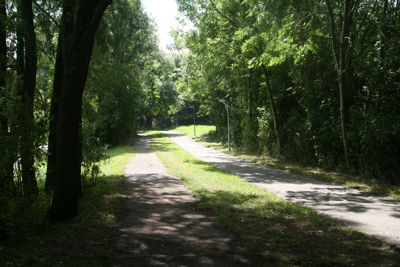 Foto 149 uit StratenBEVERWAARD