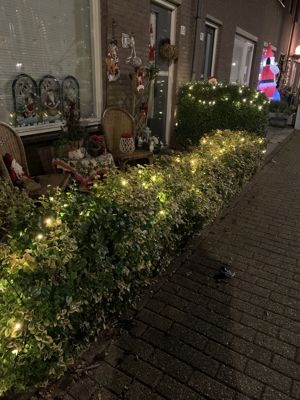 Foto 17 uit Kerst In Beverwaard