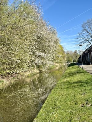 Foto 193 uit Rondje Beverwaard 2026