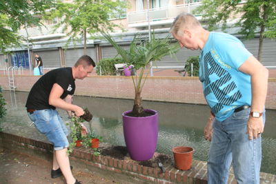 Foto 33 uit HippePlantenBakken