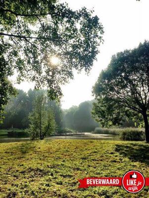 Foto 9 uit ParkenInBeverwaard