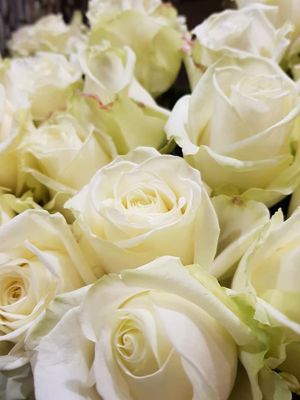 Foto 16 uit De Bloemenboetiek