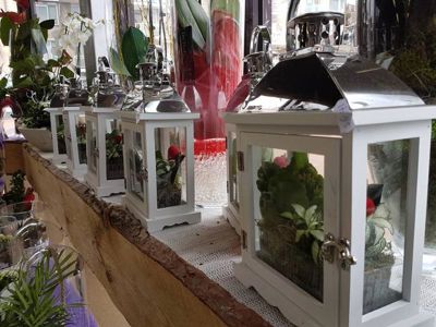 Foto 58 uit NeelyshaBloemen