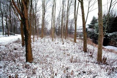 Foto 94 uit WinterIn Beverwaard