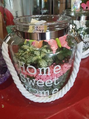 Foto 6 uit NeelyshaNieuweZaak