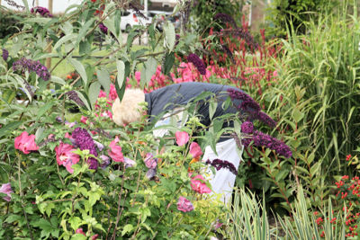 Foto 9 uit TropischeTuin16_07