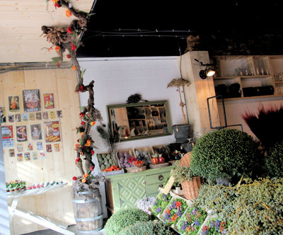 Foto 86 uit De Bloemenboetiek