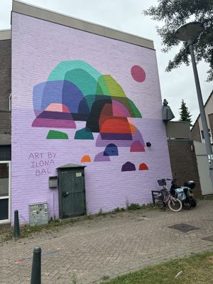 Foto 25 uit All Caps Muurschilderingen Beverwaard 2026