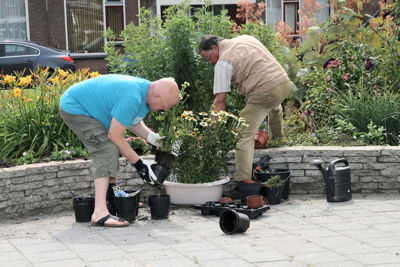 Foto 26 uit TropischeTuin16_07