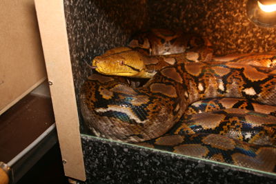 Foto 59 uit HaLLoWeeN29_10_11