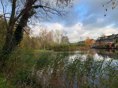 Foto 107 uit X-Herfst Verschillende jaren  2026