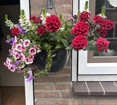 Foto 166 uit Rondje Beverwaard 2026