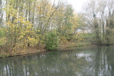 Foto 180 uit Herfst In Beverwaard