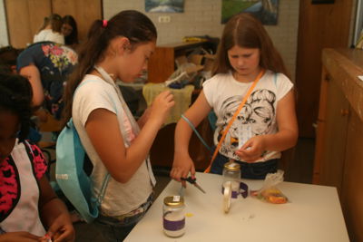 Foto 346 uit Frozen World Focus