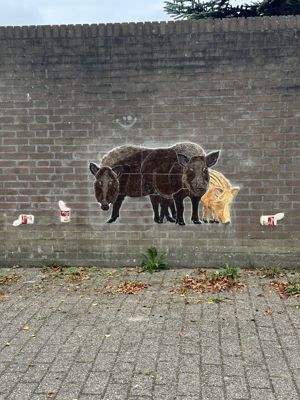 Foto 27 uit All Caps Muurschilderingen Beverwaard 2026