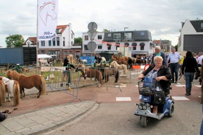 Foto 26 uit Paardenmarkt25-6