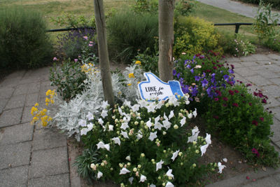 Foto 238 uit TropischeTuin 2017