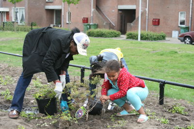 Foto 42 uit Tropische Buurttuin