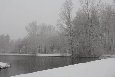 Foto 28 uit WinterIn Beverwaard_2