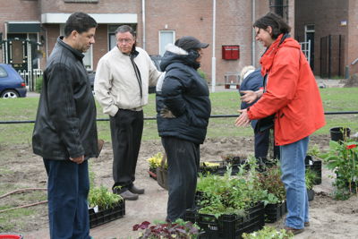 Foto 41 uit Tropische Buurttuin