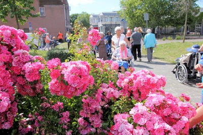 Foto 163 uit Ouderen4Daagse2019