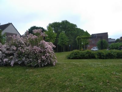 Foto 342 uit TropischeTuin 2017