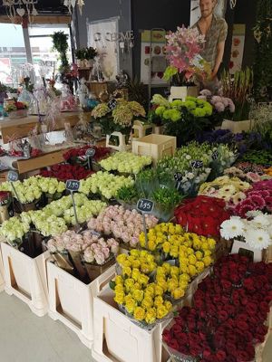 Foto 15 uit NeelyshaBloemen