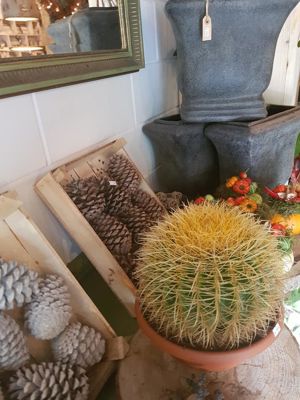 Foto 42 uit De Bloemenboetiek