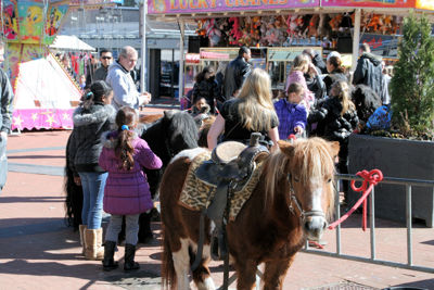 Foto 27 uit VoorjaarsMarkt19_3