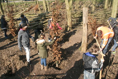 Foto 43 uit Boomplantdag16-3